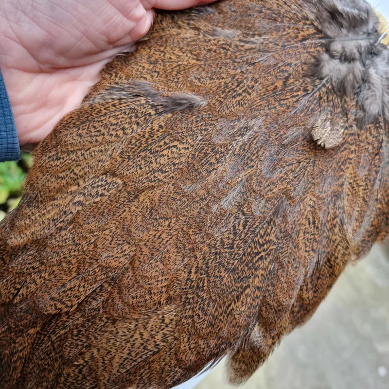 Whiting Coq de Leon Hen Saddle in Natural Ginger Speckled-5